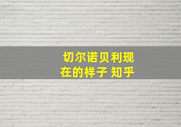 切尔诺贝利现在的样子 知乎